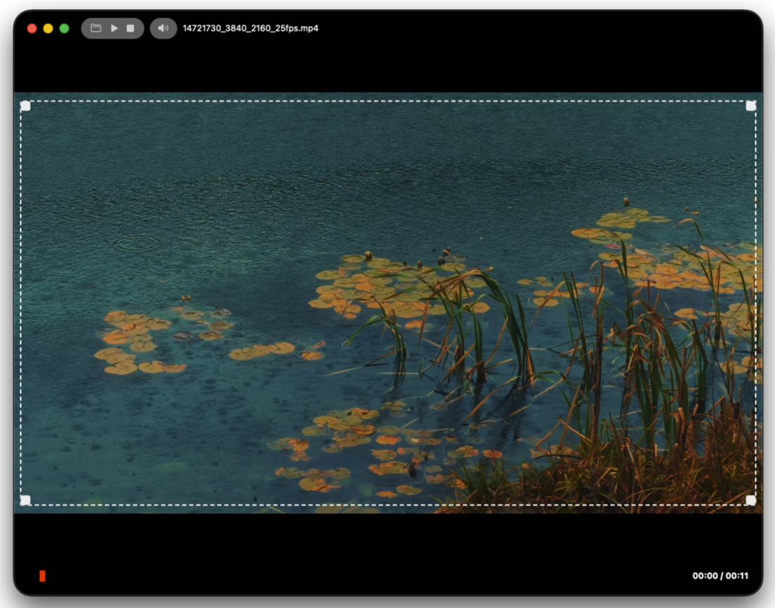 Canvas image (guide_04)